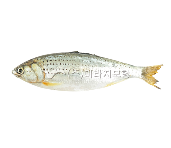 상품이미지 최대 사이즈