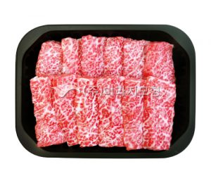 정육모형F