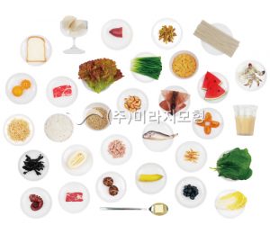성인 1인 1회분량 모형세트 171종