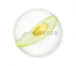 식품교환단위(지방군_아보카도)