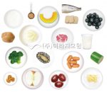 식품교환단위 115종