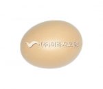 식품교환단위(어육류군_중지방_계란)