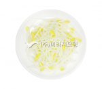 식품교환단위(채소군_콩나물)