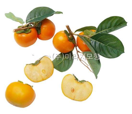 상품이미지 최대 사이즈