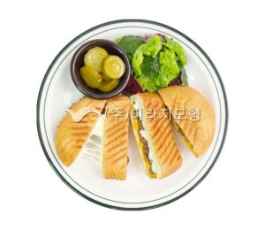 MW2020불고기 파니니