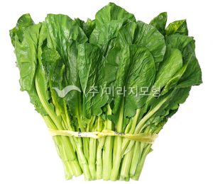 갓 한단
