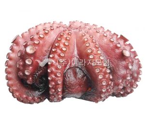 문어